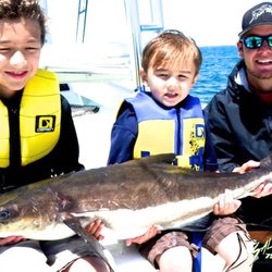 Salt Treated Sport Fishing