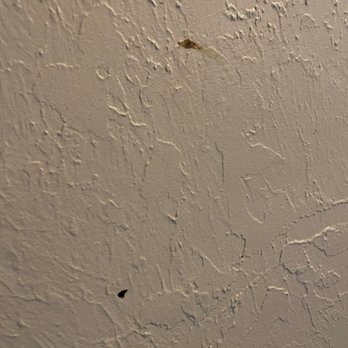 Holiday Motel - Dried dead bugs on the ceiling above the bed. - Hotels Near Me - Bend, Oregon