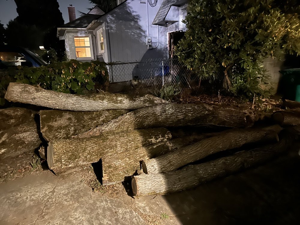 Arbor Pacific Tree Work - tree service in Portland, OR