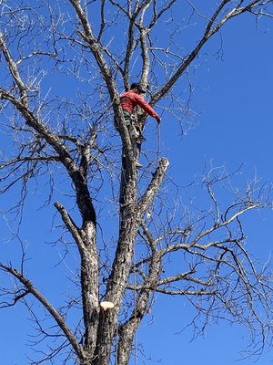 Bayseas Catfish House by null