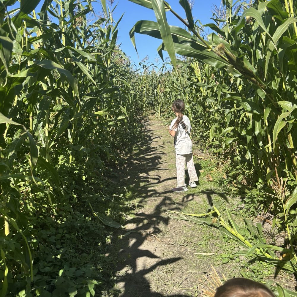 Organic Matters Ranch - Corn maze Venmo $5 - Farmers Market Near Me - Eureka, California Organic Matters Ranch - Corn maze Venmo $5 - Farmers Market Near Me - Eureka, California