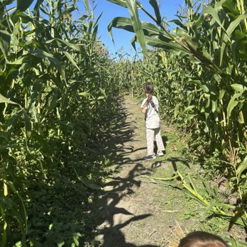 Organic Matters Ranch - Corn maze Venmo $5 - Farmers Market Near Me - Eureka, California Organic Matters Ranch - Corn maze Venmo $5 - Farmers Market Near Me - Eureka, California