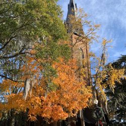 Christ Episcopal Church - Christ Episcopal Church on Thanksgiving morning