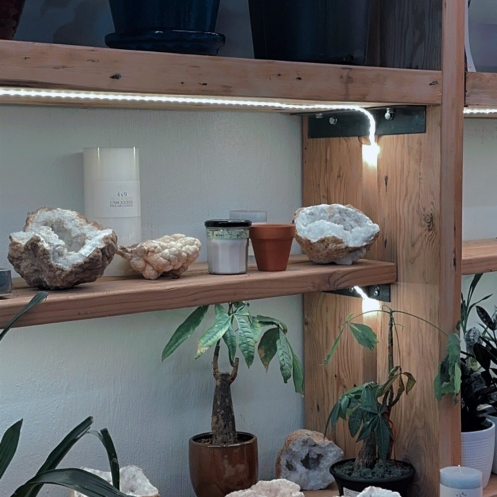 9 Tails - a shelf full of plants and rocks - Coffee & Tea Near Me - New York, New York