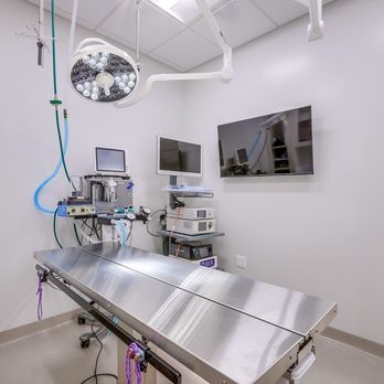 Aloha Veterinary Hospital - Veterinarians Near Me - Brea, California