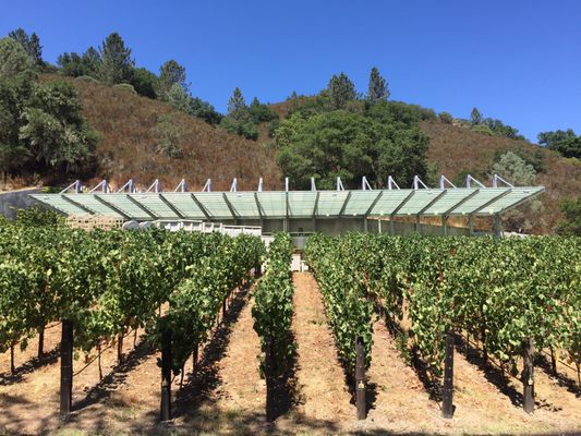 Hourglass Winery by null