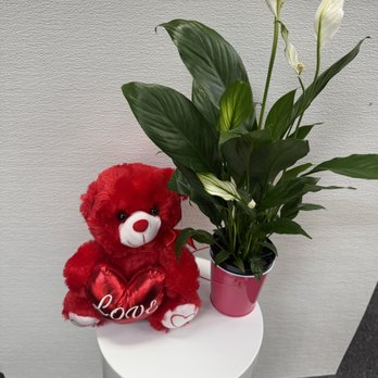 Mano Florist - Flowers & Gifts Near Me - Dearborn Heights, Michigan Mano Florist - Flowers & Gifts Near Me - Dearborn Heights, Michigan