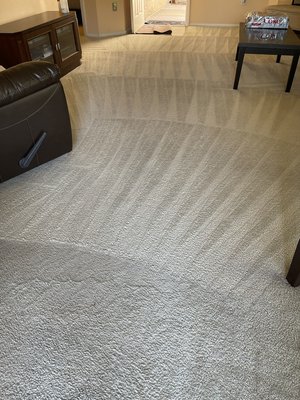 Aloha Carpet Care on Yelp