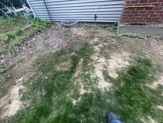 Tower Generator by null