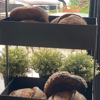 Lady Baker - Dusty window display - Bakeries Near Me - Pembroke Pines, Florida Lady Baker - Dusty window display - Bakeries Near Me - Pembroke Pines, Florida