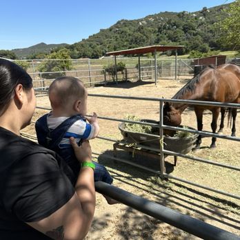 BATES NUT FARM - Updated September 2024 - 1670 Photos & 515 Reviews