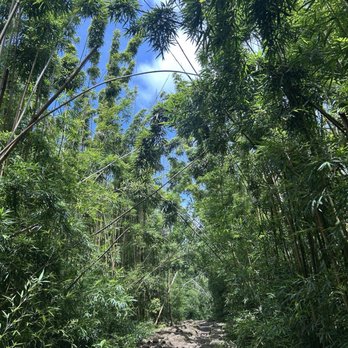 Pipiwai Trail - Hiking Near Me - Hana,, Hawaii