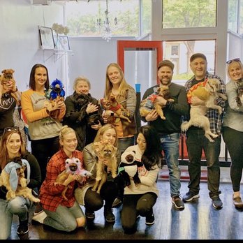 Sit Social - Chicago Griffs Halloween Meet Up - Pet Sitting Near Me - Chicago, Illinois