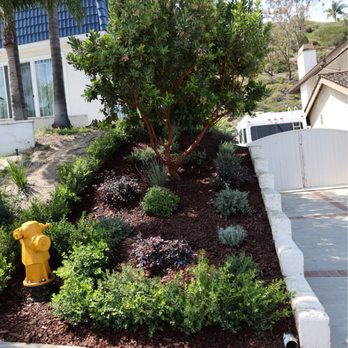 Fnl Landscaping - Front Landscape - Final Completion Completed front landscape installation and planting. - Landscaping Near Me - Costa Mesa, California Fnl Landscaping - Front Landscape - Final Completion Completed front landscape installation and planting. - Landscaping Near Me - Costa Mesa, California
