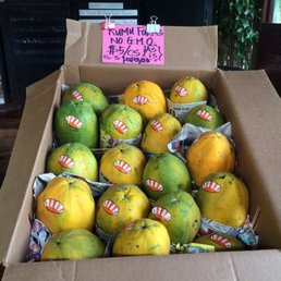 I got some fruit...18 of them! I got some fruit...18 of them!