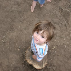 Juniper Tree PlaySchool