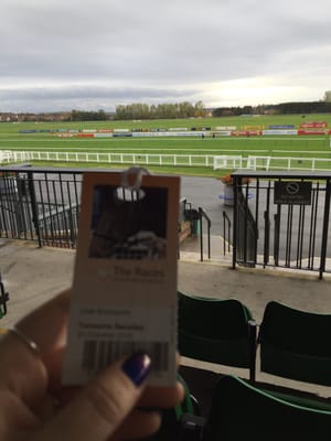 Ayr Racecourse by null
