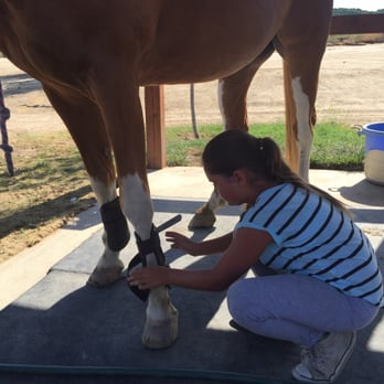 Breezeway Farms - Cleaning horse shoes - Horseback Riding Near Me - Temecula, California