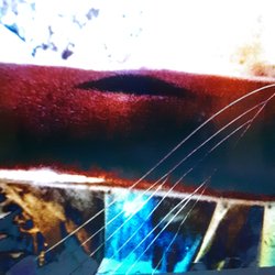 Essential Home Maintenance Checklist: Keep Your Home in Top Condition