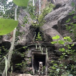 Veit Springs Trail - Historic cabin