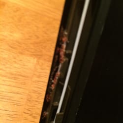 PC Repair Center - Some kind of red glue they used to hold the front LCD bezel on.