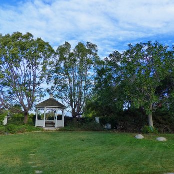 Elenes Tree Service - Nice and airy! - Tree Services Near Me - Rialto, California Elenes Tree Service - Nice and airy! - Tree Services Near Me - Rialto, California