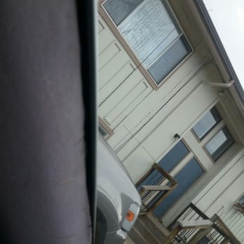 Anders Auto Glass - Auto Glass Services Near Me - Fort Collins, Colorado