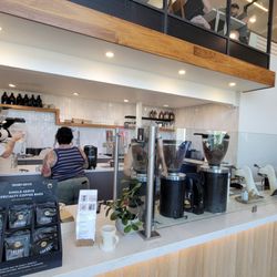 Theory Coffee Roasters - Ordering/bar area