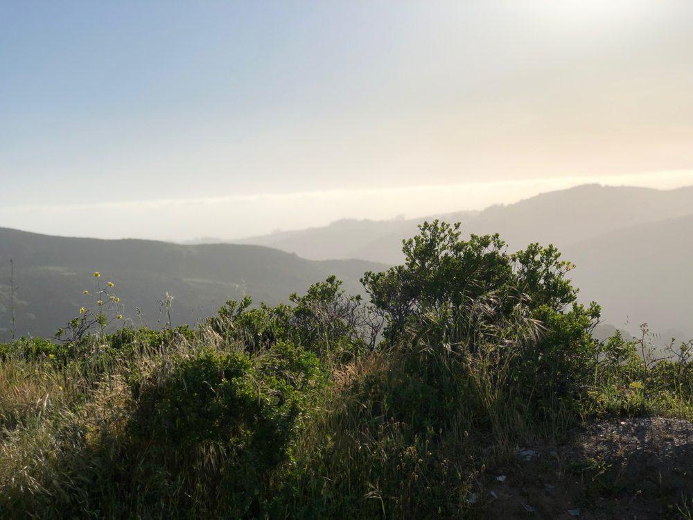 Ciara West Equestrian - equestrian in Woodside, CA