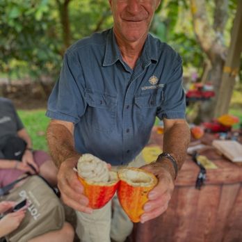 21 Degrees Estate - Co-owner, Michael, with a freshly opened pod for tasting.  The white outside covering tastes like Lilikoi or passion fruit to me. - Tours Near Me - Kaneohe, Hawaii