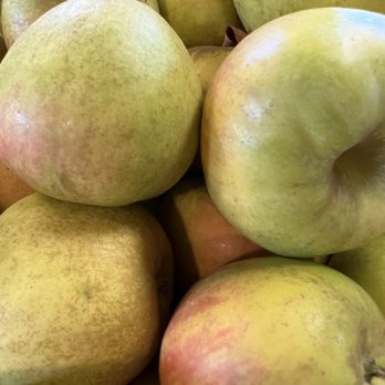 Gould Hill Apple Orchards - Nurseries & Gardening Near Me - Contoocook, New Hampshire