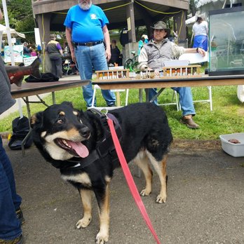 Mayfly Festival - Alley learns what is in the water - Unofficial Yelp Events Near Me - Coos Bay, Oregon Mayfly Festival - Alley learns what is in the water - Unofficial Yelp Events Near Me - Coos Bay, Oregon