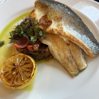 Seia - Branzino - Italian Near Me - Miami, Florida Seia - Branzino - Italian Near Me - Miami, Florida