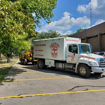 Mark's Professional Tree Service - Tree Services Near Me - Comstock Park, Michigan