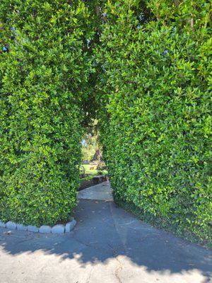 Briar Rose Winery by null