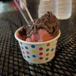 Coolside Gelato Bar - Chocolate Raspberry Gelato