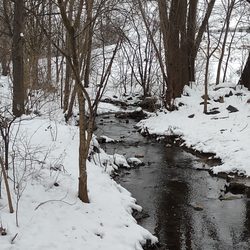Plymouth Township Park