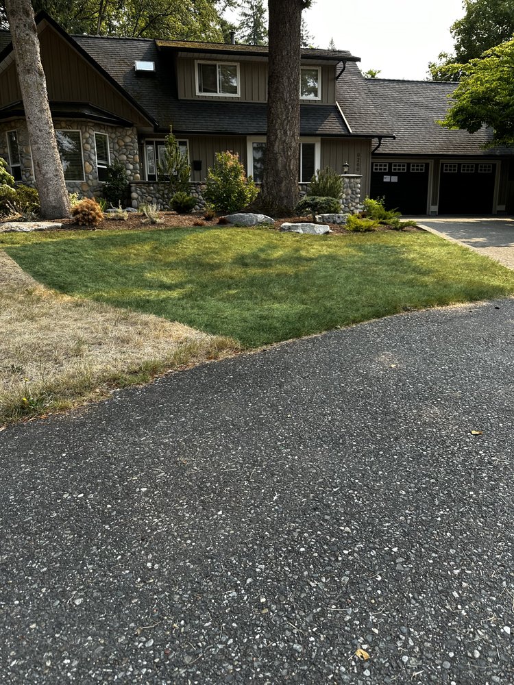 TINTED TURF GRASS SOLUTIONS - Updated July 2024 - Request a Quote ...
