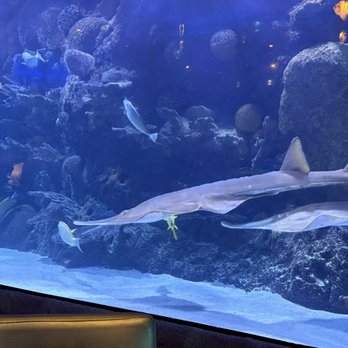 Downtown Aquarium - Seafood Near Me - Houston, Texas