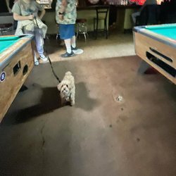Texas T Pub