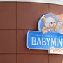 Photo of The World of Baby Mink