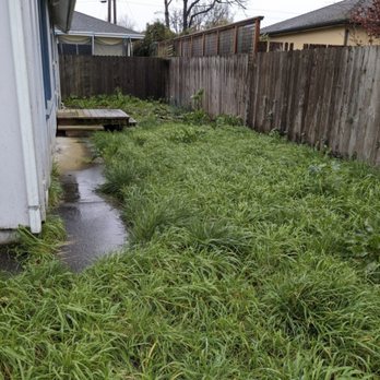 Maven Labor Services - Yards get neglected - Handyman Near Me Maven Labor Services - Yards get neglected - Handyman Near Me