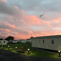 Edwards Leisure Park - Welcome to Merlin our 10.5 month exclusive development