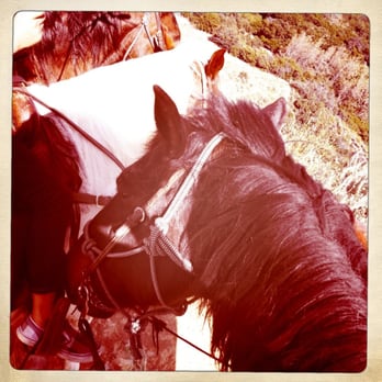 Circle Bar B Stables - My Horse Chapo - Horseback Riding Near Me - Santa Barbara, California Circle Bar B Stables - My Horse Chapo - Horseback Riding Near Me - Santa Barbara, California