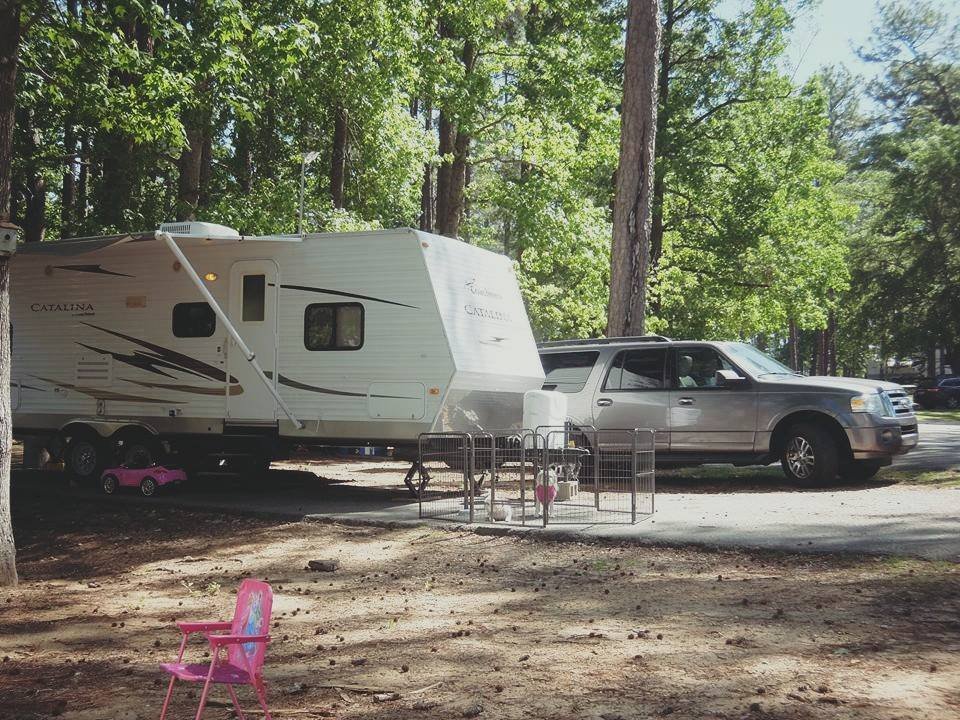 GRAVES AUTOMOTIVE Request a Quote 44 Blue Cat Ln, Calera, Alabama