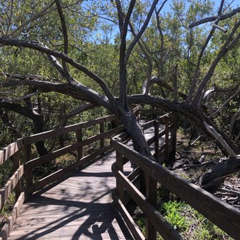 Emerson Point Park - Cool boardwalk - Parks Near Me - Palmetto, Florida