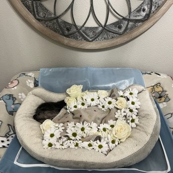 West Coast Pet Memorial Services - Goodbye Coco-Bear. - Pet Cremation Services Near Me - San Diego, California West Coast Pet Memorial Services - Goodbye Coco-Bear. - Pet Cremation Services Near Me - San Diego, California