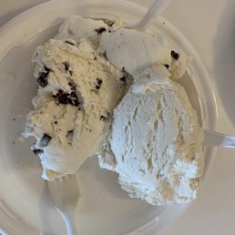 Mint Chocolate Chip