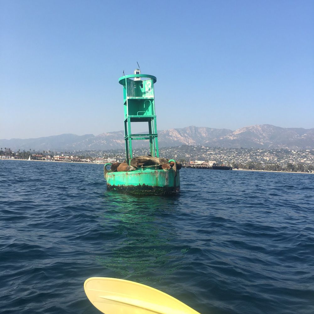 Santa Barbara Sailing Center - Boating Near Me - Santa Barbara, California Santa Barbara Sailing Center - Boating Near Me - Santa Barbara, California