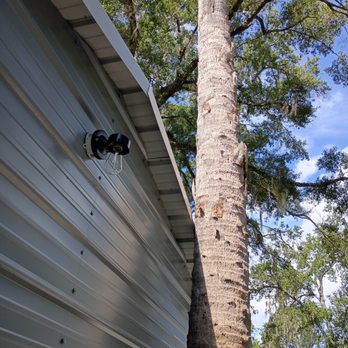 Alpha Arborcare - Tree Services Near Me - Daytona Beach, Florida Alpha Arborcare - Tree Services Near Me - Daytona Beach, Florida